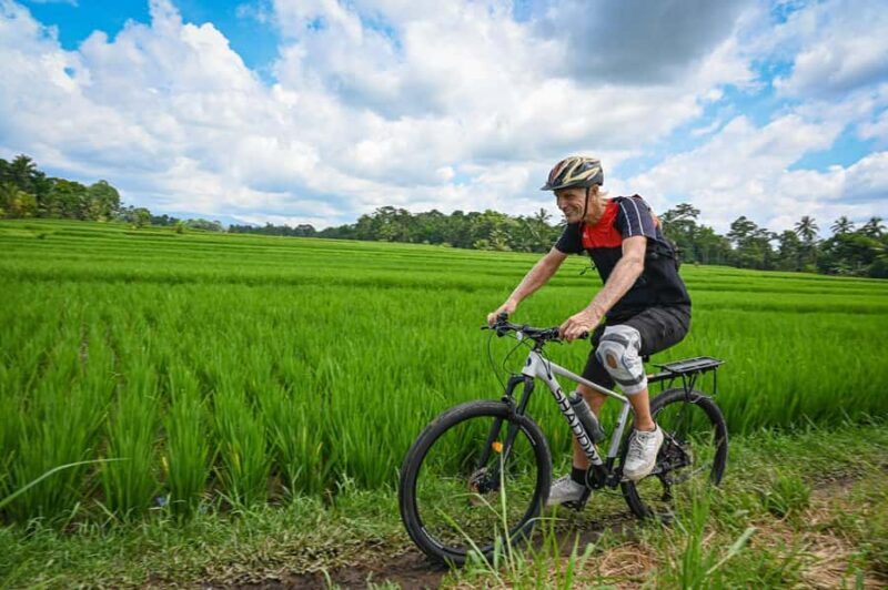 South Ubud: Electric Mountain Bike Tour - Heart of the Rice Fields - Half Day (Private) - Timing and Best Moments