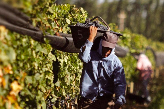 south-wine-route