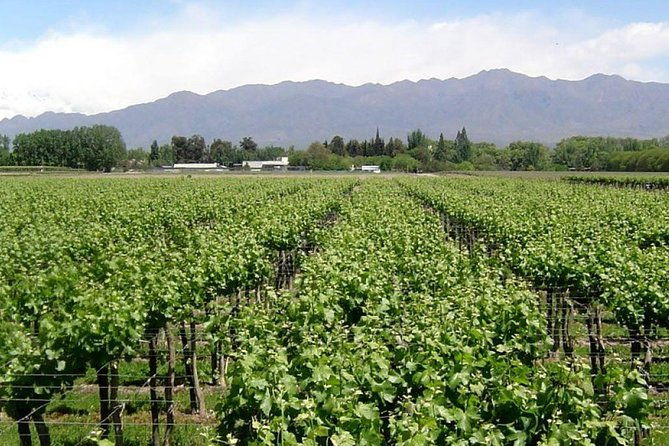 south-wine-route