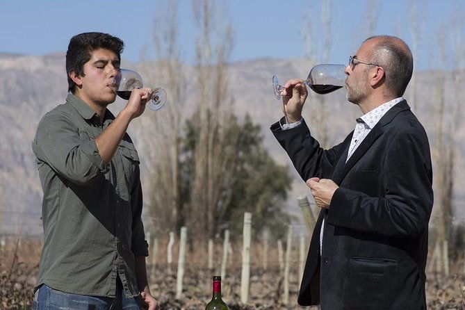 south-wine-route