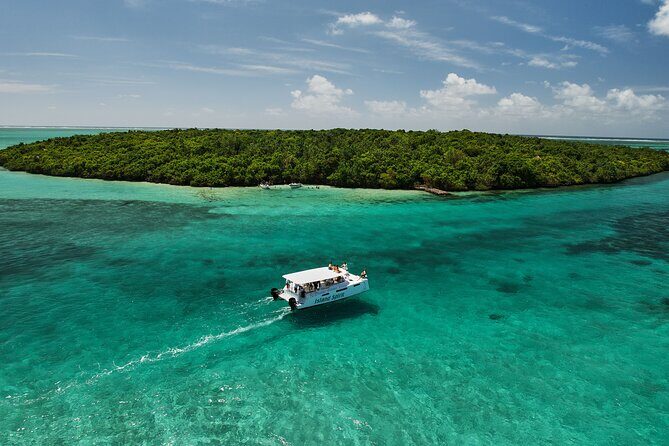 SouthEast Lagoon Discovery on shared basis on a Power Catamaran - Who Should Consider This Tour?