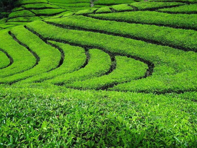 southern-bandung-day-tours