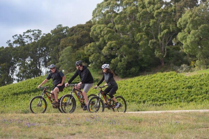 Southern Barossa: 10-Minute Helicopter Flight - Practical Information for Travelers