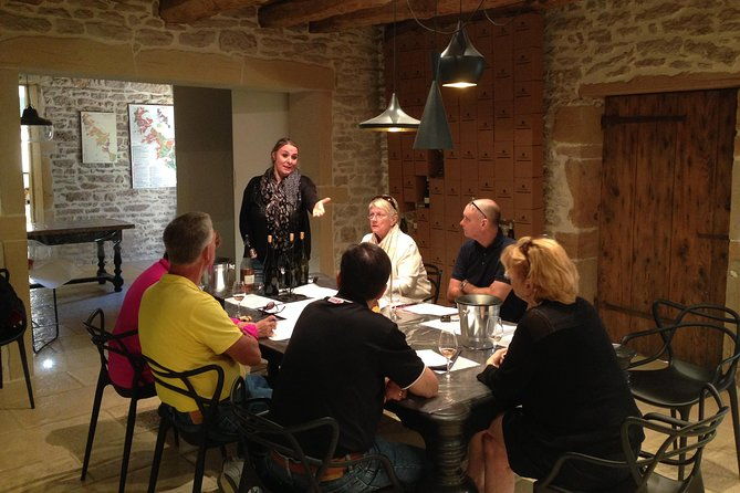 southern-burgundy-wine-tour-full-day-shared-tour-from-lyon-2
