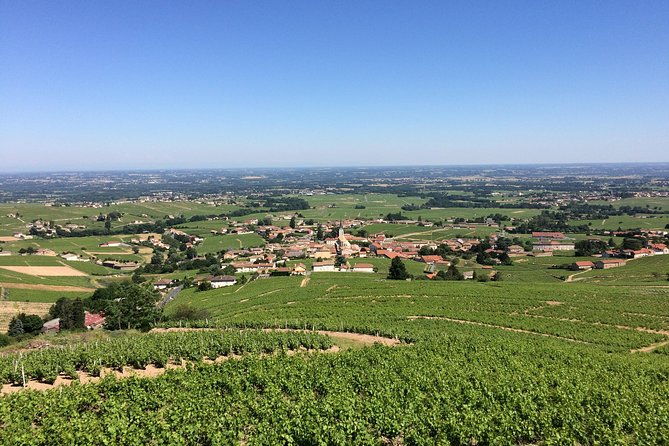 southern-burgundy-wine-tour-full-day-shared-tour-from-lyon