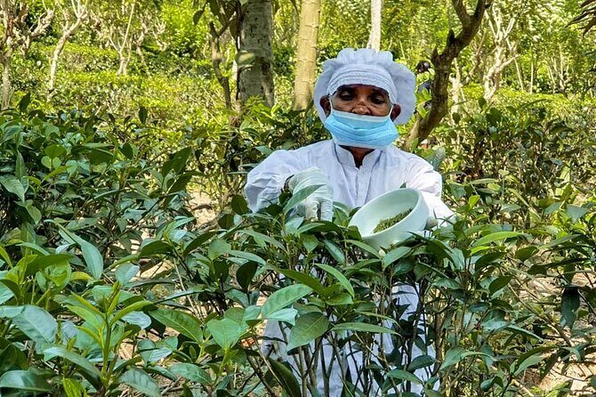 Southern Coast Highlights from Hambantota - Key Points