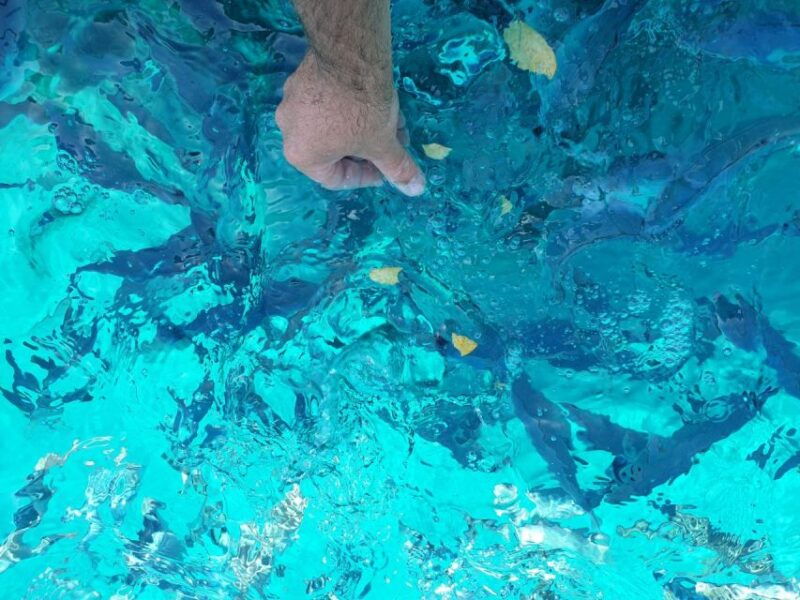 southern-coast-of-hvar-pakleni-islands-tour