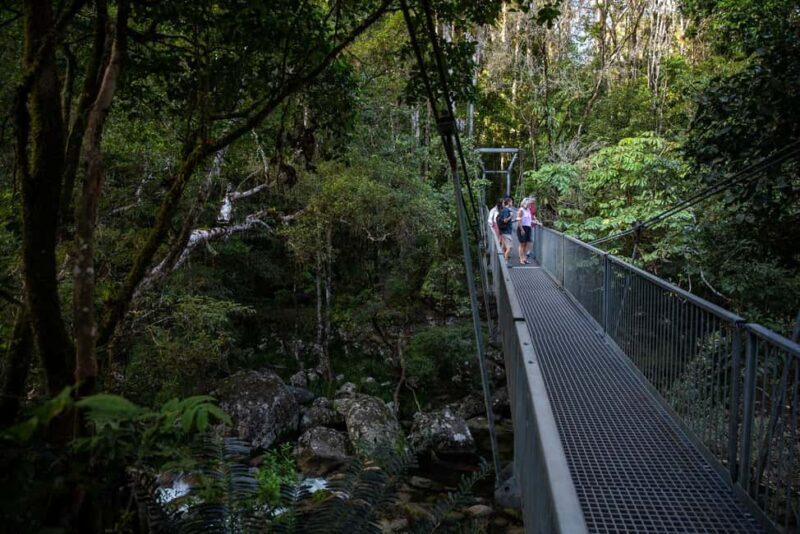 Southern Daintree Explorer Tour - Half Day - Who Will Love This Tour?
