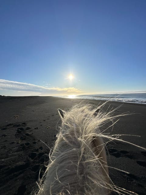 southern-iceland-black-beach-riding-tour