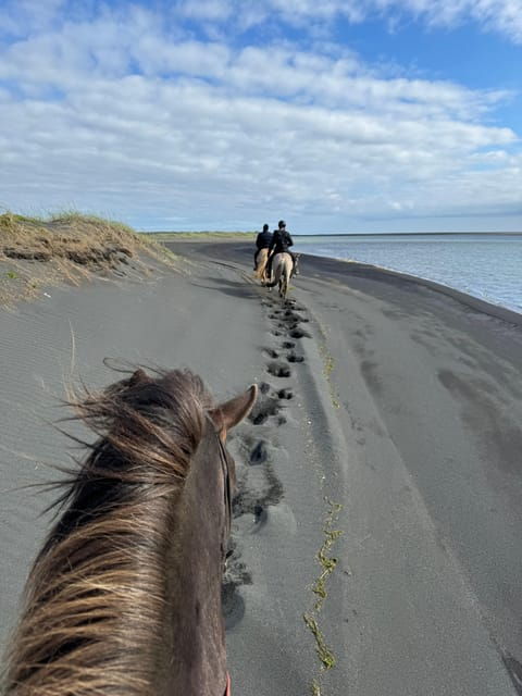 southern-iceland-black-beach-riding-tour