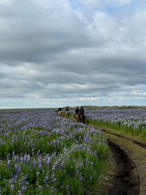 southern-iceland-black-beach-riding-tour
