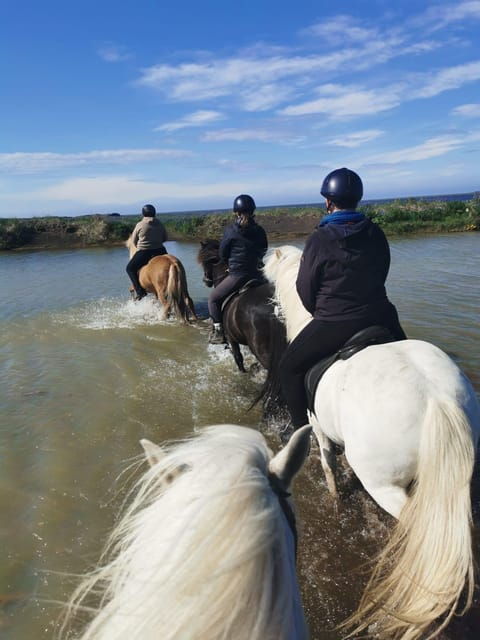 southern-iceland-black-beach-riding-tour