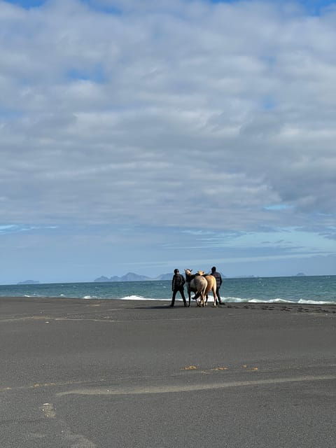 southern-iceland-black-beach-riding-tour
