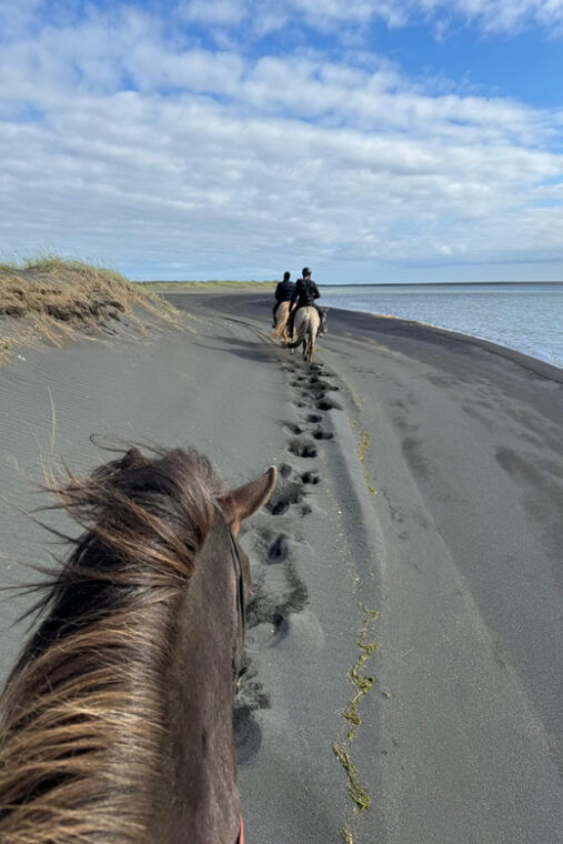 southern-iceland-black-beach-riding-tour