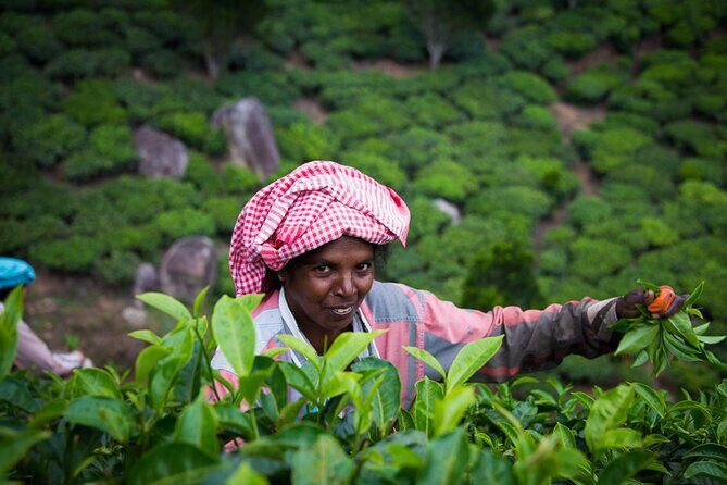 Southern India: Where Culture Meets Nature - FAQ