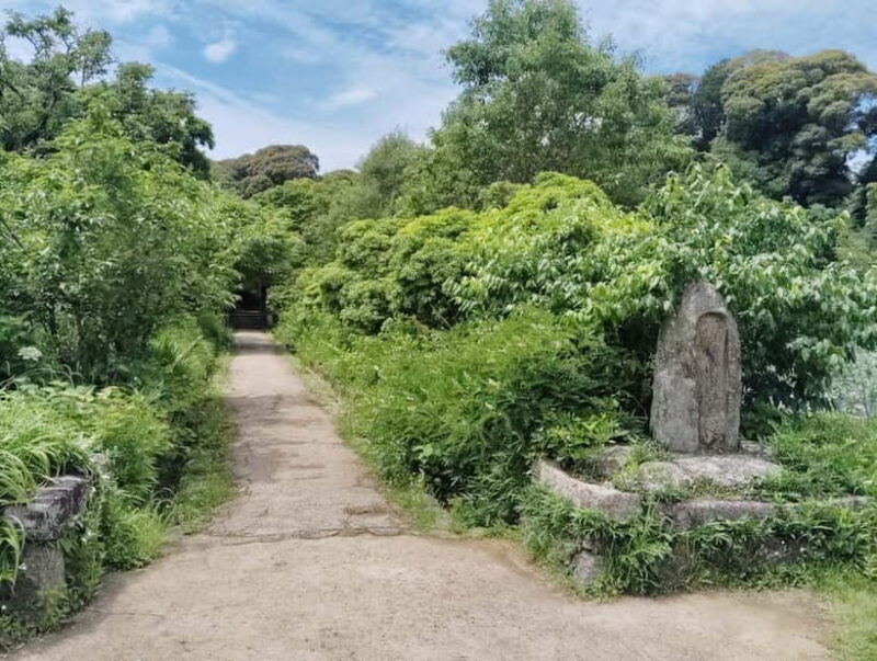 Southern Kyoto: Journey to Jruri-ji & Its Pure Land Garden - The Guided Tour Experience