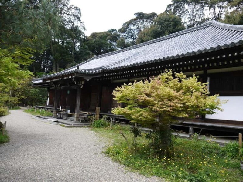 Southern Kyoto: Journey to Jruri-ji & Its Pure Land Garden - What Makes Jruri-ji a Special Visit?