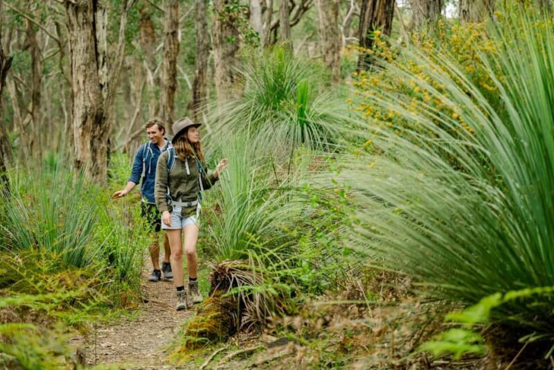 Southern Ocean Walk: 4-Day Guided Fleurieu Peninsula walk - An In-Depth Look at the Southern Ocean Walk