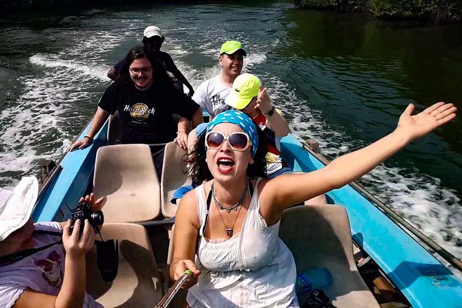 Southern Sri Lanka Sightseeing Private Day Trip - The Sum Up