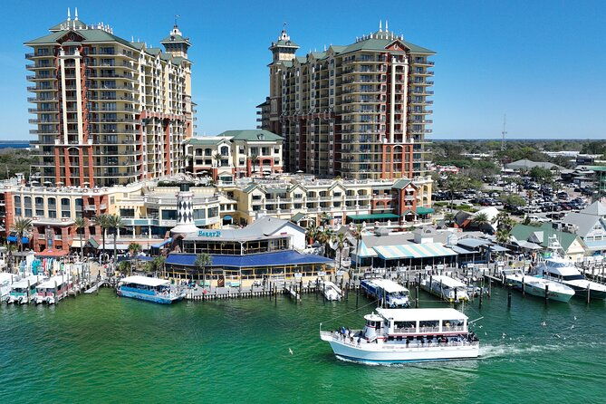 southern-star-dolphin-cruise
