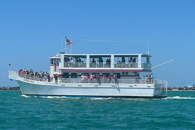 southern-star-dolphin-cruise