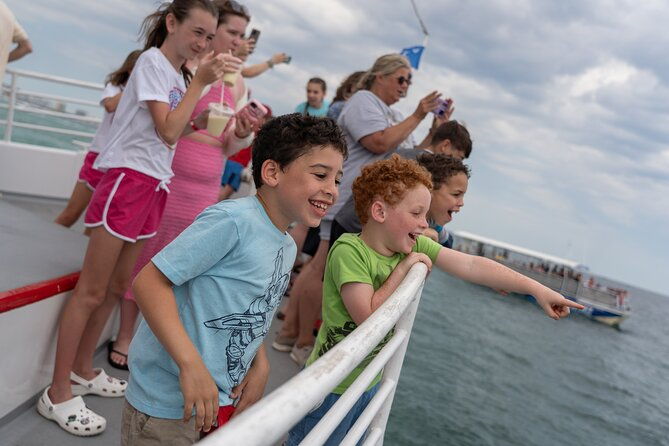 southern-star-dolphin-cruise