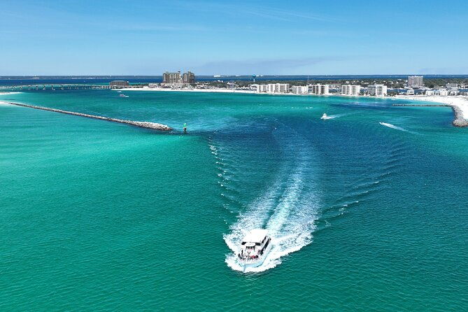 southern-star-dolphin-cruise