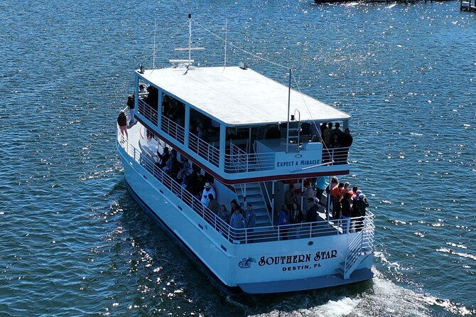 southern-star-dolphin-cruise