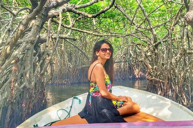 Southtern Sri lanka Day Tour from Colombo , Kaluthara or Bentota - Who Is This Tour Best Suited For?