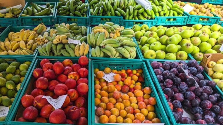 southwest-madeira-half-day-cabriolet-jeep-adventure
