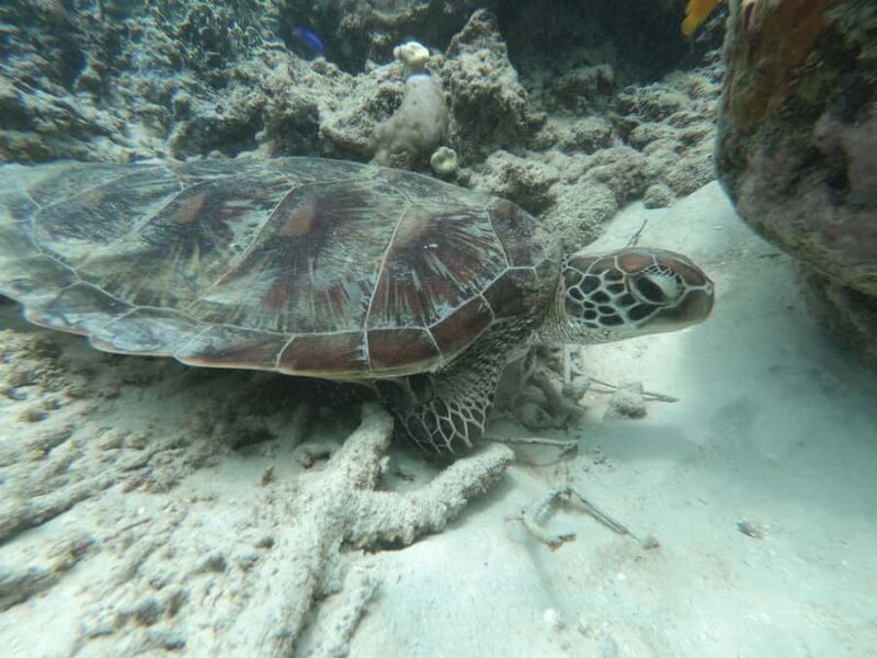 SouthWest Secret Gili,Gili Layar,Gili Gede&Gili Rengit - An In-Depth Look at the Itinerary and What to Expect