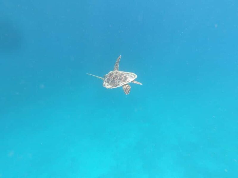 SouthWest Secret Gili,Gili Layar,Gili Gede&Gili Rengit - Practical Considerations and Tips