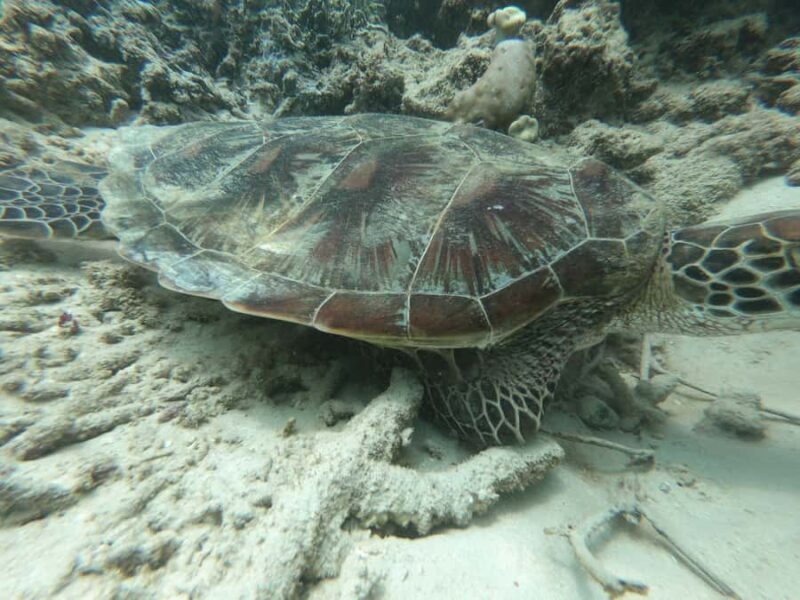 SouthWest Secret Gili,Gili Layar,Gili Gede&Gili Rengit - Final Thoughts