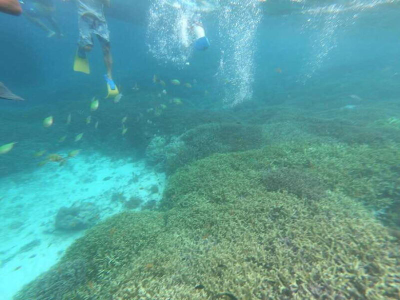 southwest-secret-giligili-layargili-gedegili-rengit