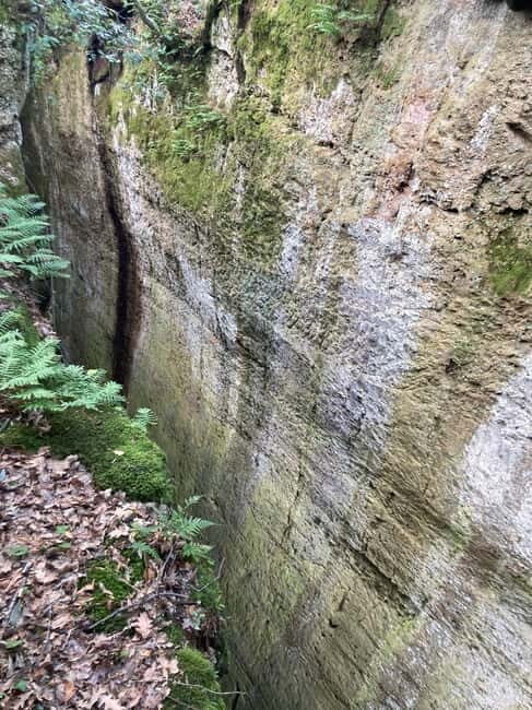 Sovana: Vie Cave & Etruscan Culture Hiking Tour with Tasting - Key Points