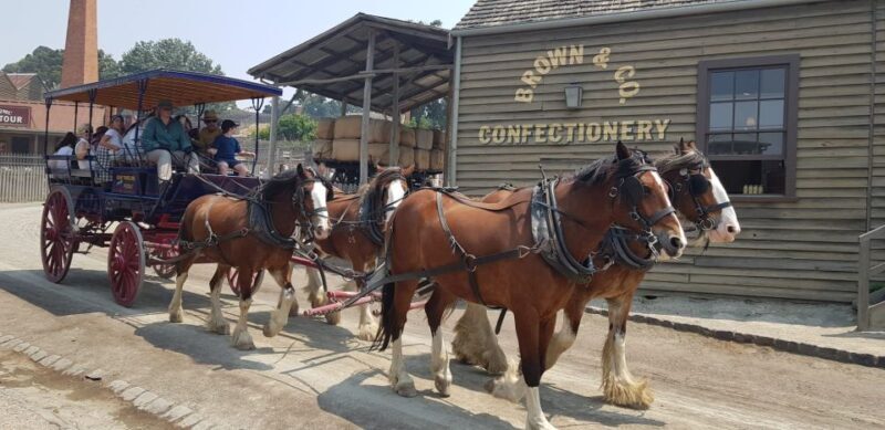 Sovereign Hill & 12 Apostle Private Tour  Up to 14 pax - What to Expect from the Sovereign Hill & 12 Apostles Private Tour