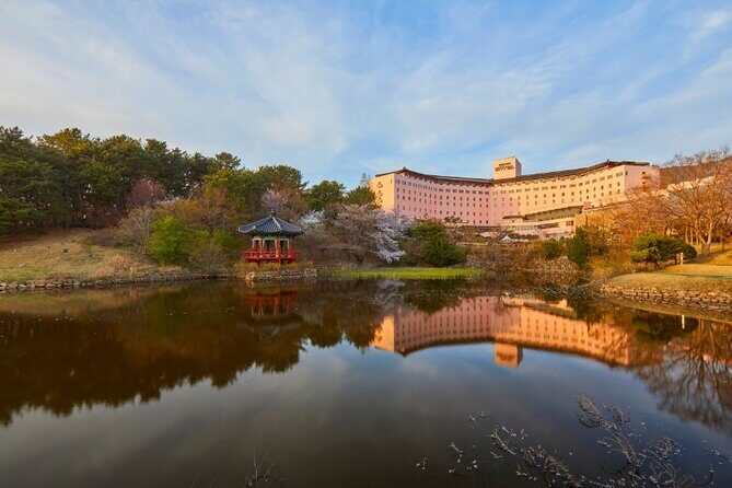 SPACE TIME SCHOOL: THE MISSING CLOCK Cultural Mission in Gyeongju - Practical Details and Tips