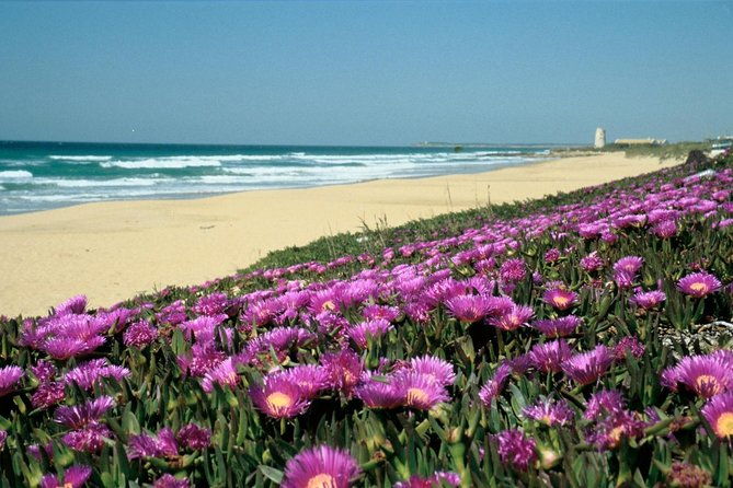 spains-best-beaches-day-trip-from-seville