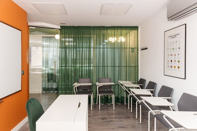 spanish-group-course-in-madrid-spain-30-lessons