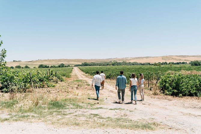 spanish-villages-winery-visit-with-wine-tasting-and-tapas-lunch