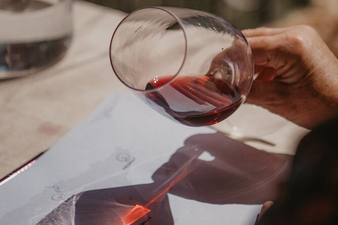 spanish-wine-tasting