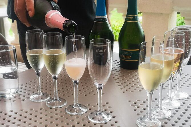 sparkling-wine-tour-and-premium-tasting-with-private-transport