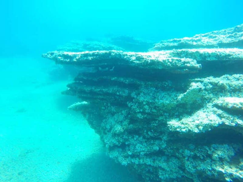 Spearfishing Fishing Tour with Seafood Lunch at the Beach - FAQs