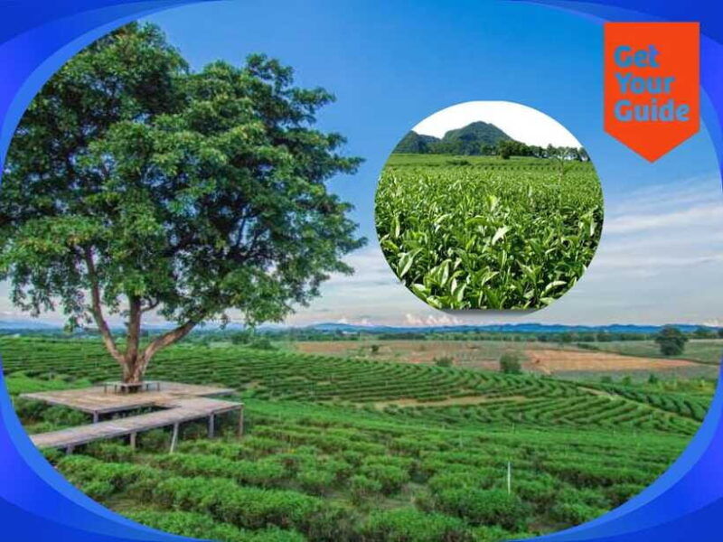 special-chiang-rai-one-day-tour-with-private-driver