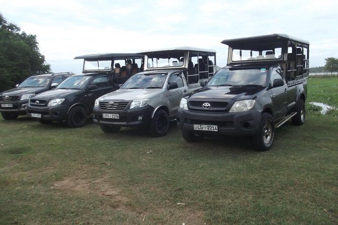 Special Leopards safari - Yala National park - 04.30 am to 11.30 am - Key Points