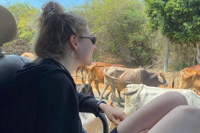 Special Leopards Safari Yala National Park - 04:30 AM to 11:30 AM - The Downsides & Considerations