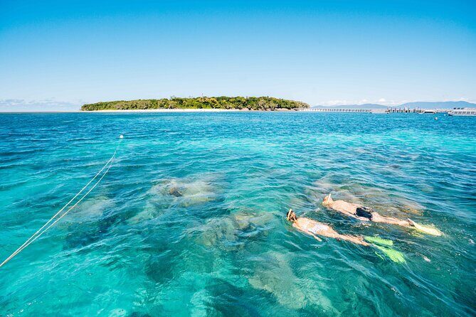 Special Offer: Great Barrier Reef & Green Island Day Tour - A Closer Look at the Tour Itinerary