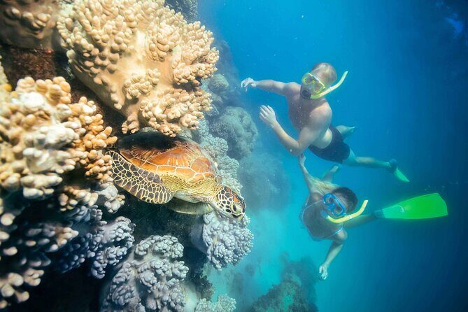 Special Offer: Great Barrier Reef & Green Island Day Tour - The Sum Up