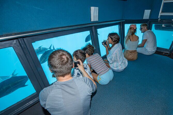 Special Offer: Great Barrier Reef & Green Island Day Tour - Frequently Asked Questions