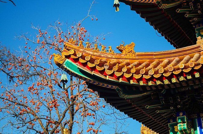 Special Offer: Lama Temple with Best Tour Guide - Who Will Love This Tour?